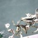 男子意外钓到鳄鱼,重生模拟器钓鱼怎么钓到鳄鱼？
