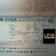 中国公民在菲被抓扣,中国公民去菲律宾旅游怎样办护照？