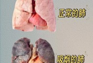 吸烟如何摧毁你的肺,吸烟对肺的影响有多大危害？