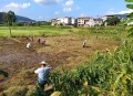 河道现大量成扎钞票,农村农业的出路在哪里？怎样既保障农民利益，还能不让农田撂荒？