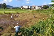 河道现大量成扎钞票,农村农业的出路在哪里？怎样既保障农民利益，还能不让农田撂荒？
