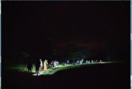 教授雨夜爬山坠崖,大学教授坠亡