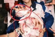 曝17岁少女代孕产子,