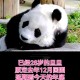 4只旅日大熊猫回国,国宝熊猫回国后归谁管？