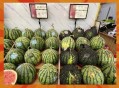 商家互砸西瓜丢荔枝,荔枝和西瓜哪个贵？