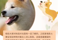 解除禁养中华田园犬,中华田园犬禁养合法吗？