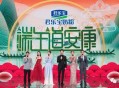 央视端午晚会,端午节文艺汇演活动方案？