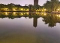商家售卖未名湖湖水,未名湖夜色诗句？