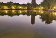 商家售卖未名湖湖水,未名湖夜色诗句？