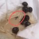 蜜雪喝出不明飞虫,蜜雪冰城喝出虫子怎么处理