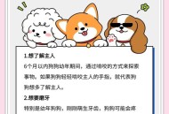 被狗咬后打伤女主人,狗咬了我我去打主人算违法吗