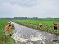 南阳强降雨5人遇难,南阳市5中咋样？