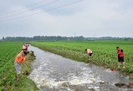 南阳强降雨5人遇难,南阳市5中咋样？