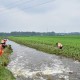 南阳强降雨5人遇难,南阳市5中咋样？