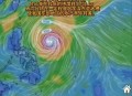 台风蝴蝶在海南登陆,海南都能抓到什么昆虫？
