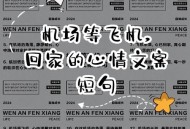 开飞机回老家过国庆,国庆坐飞机回家文案？