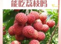 空腹吃荔枝得荔枝病,空腹吃荔枝得荔枝病怎么办