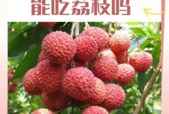 空腹吃荔枝得荔枝病,空腹吃荔枝得荔枝病怎么办
