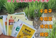 水污染致秧苗死亡,自家芭蕉园打除草剂，药液流到水源中被别人取水导致水稻病死，我有责任吗？