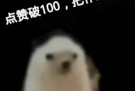 暑假作业被狗撕碎,狗把作业撕碎了，但老师怀疑自己真的没写作业，这件事大家有没有过类似的经历？