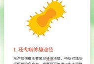 装狂犬病发作整路人,如果因狗主人看管问题造成路人被狗咬并且狂犬病发，你认为狗主人算间接谋杀吗？