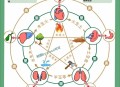 男子五脏六腑全长反,男的五脏六腑
