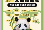 4只旅日大熊猫回国,4只旅日大熊猫回国了吗
