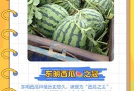 女子发现东西瓜,中国是富产瓜果的国度。为什么有叫东、南、西瓜的，却没有叫北瓜呢？