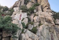 请24位陪爬登顶泰山 ,香山和泰山哪个好爬？