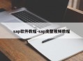 sap软件教程-sap完整视频教程