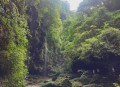 四川雅安发生泥石流,雅安泥石流碧峰峡还能去吗？