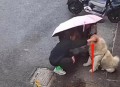 女生遭男子摸头辱骂,女生遭男子摸头辱骂视频