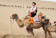 敦煌鸣沙山又堵骆驼,敦煌鸣沙山堵骆驼了