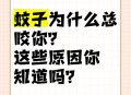 秋蚊子最爱咬5类人,秋天的蚊子为什么咬人更厉害？