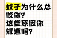 秋蚊子最爱咬5类人,秋天的蚊子为什么咬人更厉害？