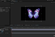 animate软件教程,animate软件怎么用