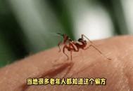 让螳螂吃颈后肉瘊子,让螳螂吃颈后肉瘊子会怎么样