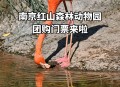 红山动物园门票涨价,红山动物园门票涨价了吗