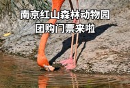 红山动物园门票涨价,红山动物园门票涨价了吗