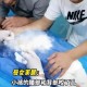 一女童被大型犬咬伤,前几日，上海一大型犬咬了日本女子，有人说被咬伤的日本女人会得到巨额赔偿，你怎么看？