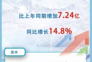 出游人次32.85亿,各省旅游人次怎么统计的？