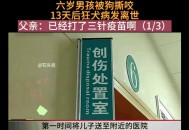 被狗咬3个月后去世,男孩被狗咬去世，狂犬病如何进行急救？