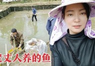 把西瓜扔鱼塘喂鱼,把西瓜扔鱼塘喂鱼好吗