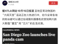 造谣熊猫受虐圈20万,造谣熊猫受虐圈20万是真的吗