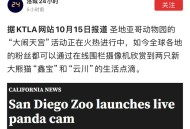 造谣熊猫受虐圈20万,造谣熊猫受虐圈20万是真的吗