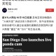 造谣熊猫受虐圈20万,造谣熊猫受虐圈20万是真的吗