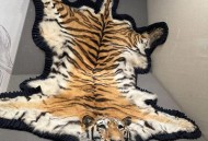 印阅兵式现动物方队,什么动物的脚印四只印？