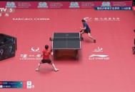 孙颖莎无缘8强,孙颖莎无缘女单4强什么意思？