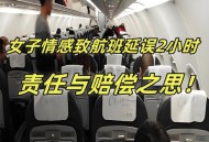 开飞机回老家仅15分,女友马上坐飞机回老家了，应该嘱咐她注意些什么？