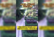 6岁女孩翻出21楼,6岁女孩翻出21楼窗外